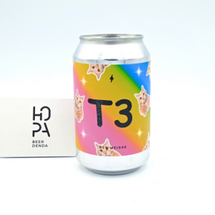 GARAGE BEER T3 Lata 33cl 