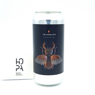 GARAGE BEER Triangles Lata 44cl 