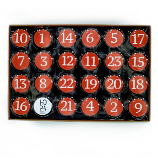 CALENDARIO DE ADVIENTO DE...