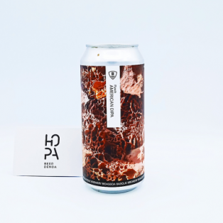 BIDASSOA Flysch Lata 44cl BIDASSOA Flysch Lata 44cl